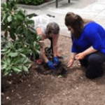 Magnolia Terrace Apartments: Greenery Day